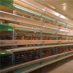 Common chicken breeding equipment