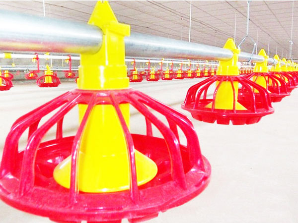 Poultry feeding machine for broilers are multiple-choice for clients.