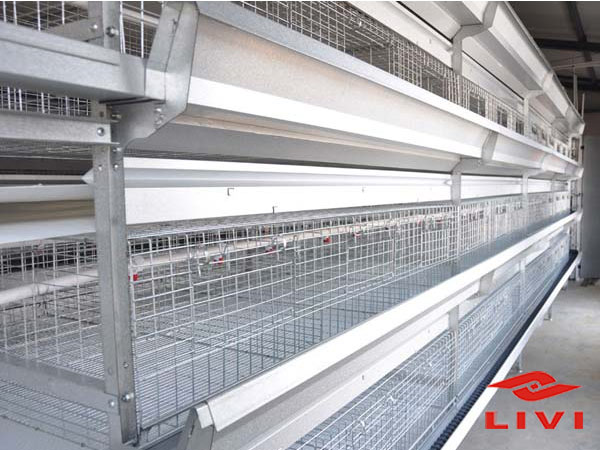 Our broiler cages for sale are in good quality and low cost.