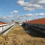 Broiler standardized chicken farm construction plan