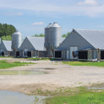 Chicken farm environmental control measures